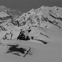  L'arête bien cornichée