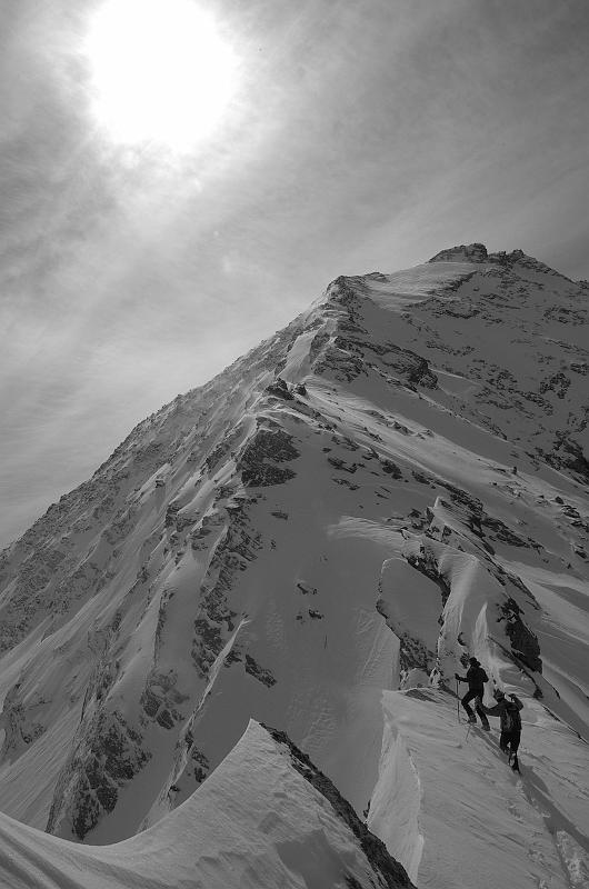 _DSC1161