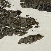  Un chamois se réchauffe