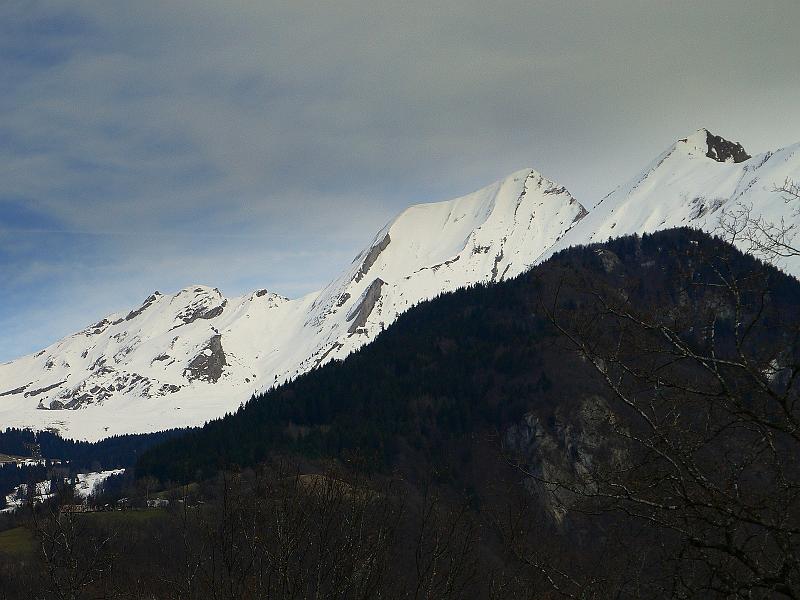 P1030137