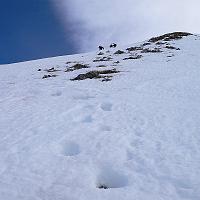  Marches pour accéder à l'arête