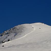  3 chamois