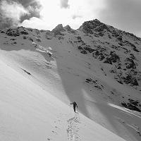  Sous le col
