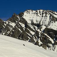  Le Roignais