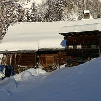  Ruches d'alpages