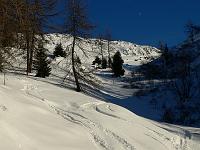  Dans les bois c'est bon aussi